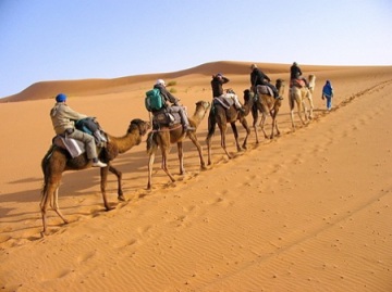 best camel tours